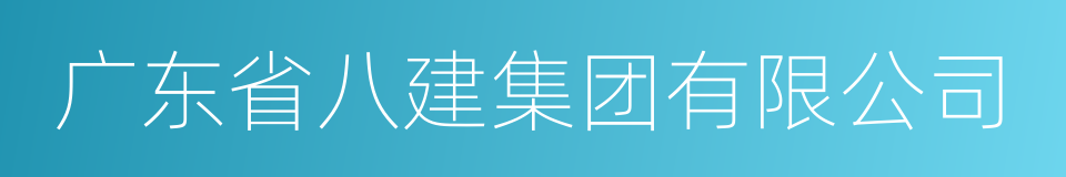 广东省八建集团有限公司的同义词