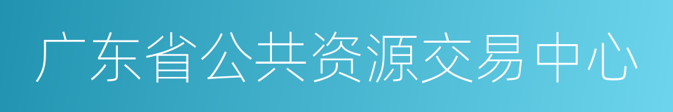 广东省公共资源交易中心的同义词