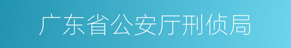 广东省公安厅刑侦局的同义词