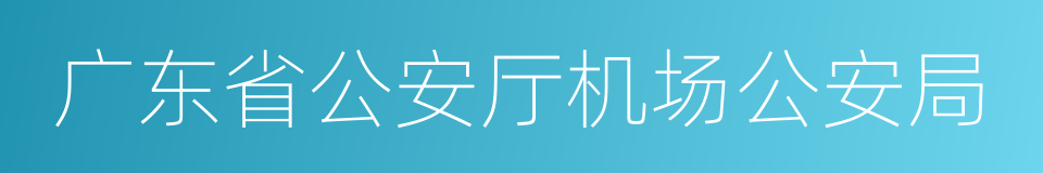 广东省公安厅机场公安局的同义词