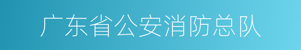 广东省公安消防总队的同义词