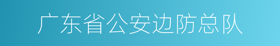 广东省公安边防总队的同义词