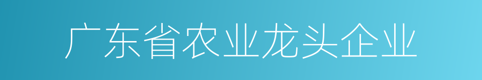 广东省农业龙头企业的同义词