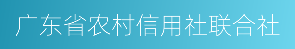 广东省农村信用社联合社的同义词