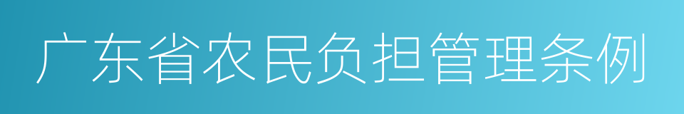 广东省农民负担管理条例的同义词