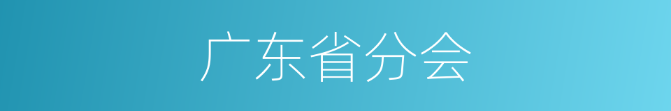 广东省分会的同义词