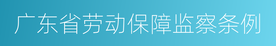 广东省劳动保障监察条例的同义词