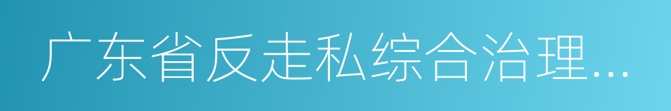 广东省反走私综合治理条例的意思