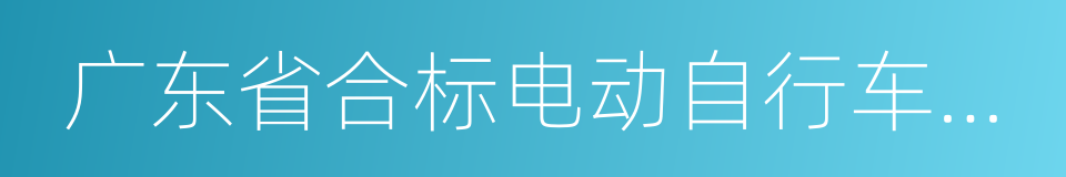 广东省合标电动自行车生产企业产品目录的同义词