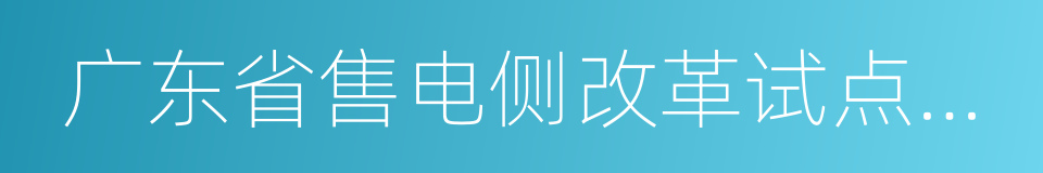 广东省售电侧改革试点实施方案的同义词