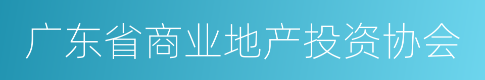 广东省商业地产投资协会的同义词