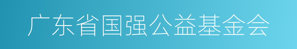 广东省国强公益基金会的同义词
