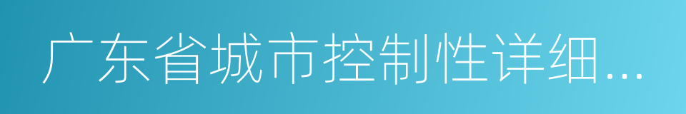 广东省城市控制性详细规划管理条例的同义词