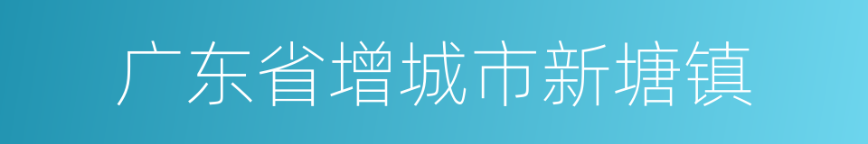 广东省增城市新塘镇的同义词