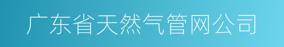 广东省天然气管网公司的同义词