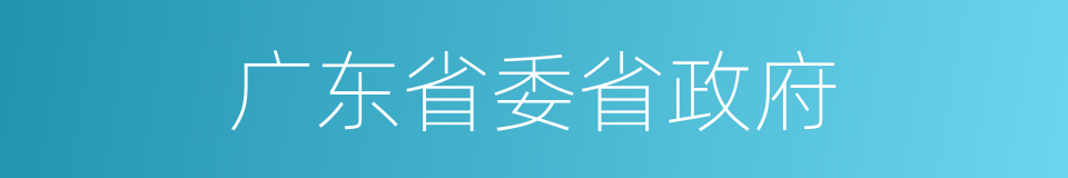 广东省委省政府的同义词