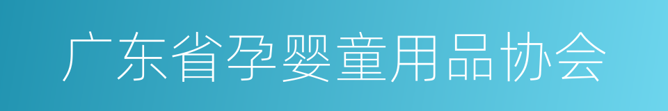 广东省孕婴童用品协会的同义词