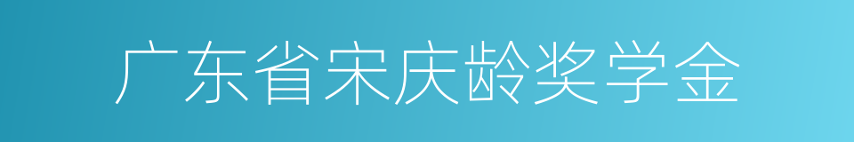 广东省宋庆龄奖学金的同义词