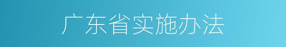 广东省实施办法的同义词