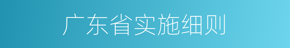 广东省实施细则的同义词