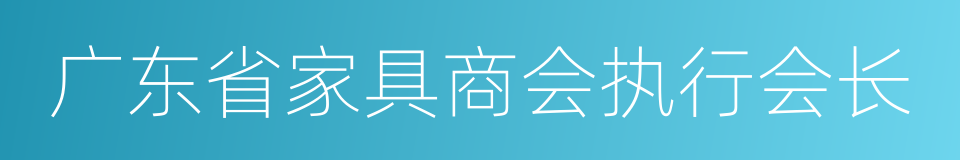 广东省家具商会执行会长的同义词