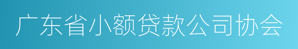 广东省小额贷款公司协会的同义词