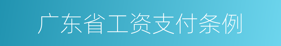 广东省工资支付条例的同义词