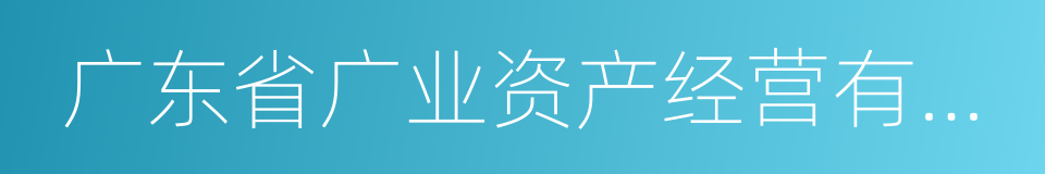 广东省广业资产经营有限公司的同义词