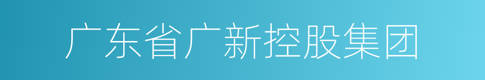 广东省广新控股集团的同义词