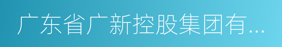 广东省广新控股集团有限公司的同义词