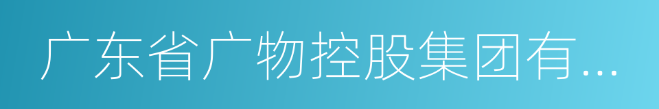 广东省广物控股集团有限公司的同义词