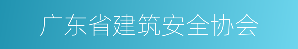 广东省建筑安全协会的同义词