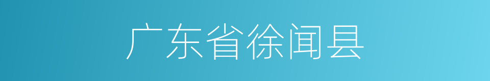 广东省徐闻县的同义词