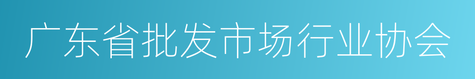 广东省批发市场行业协会的同义词