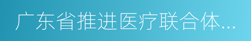 广东省推进医疗联合体建设和发展的实施方案的同义词