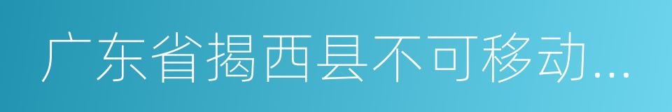 广东省揭西县不可移动文物名录的同义词