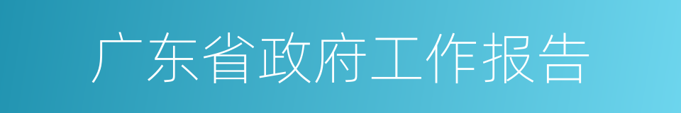 广东省政府工作报告的同义词