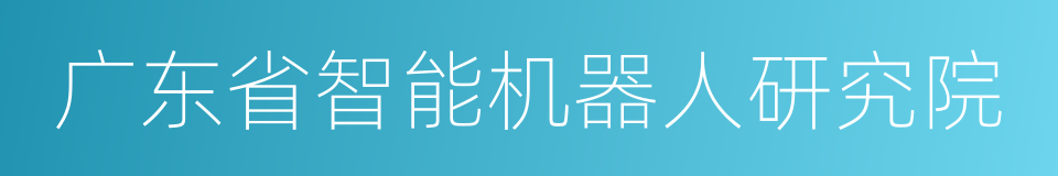 广东省智能机器人研究院的同义词