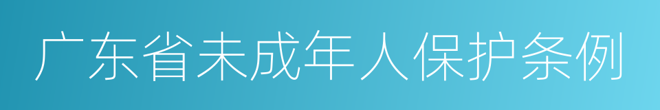 广东省未成年人保护条例的同义词