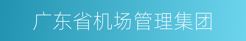 广东省机场管理集团的同义词