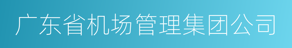 广东省机场管理集团公司的同义词