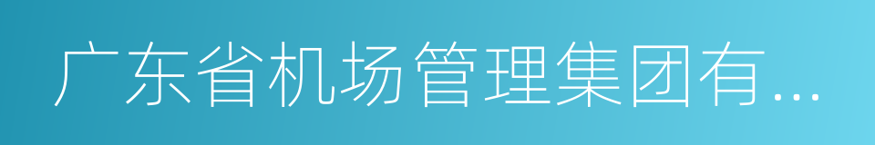 广东省机场管理集团有限公司的同义词