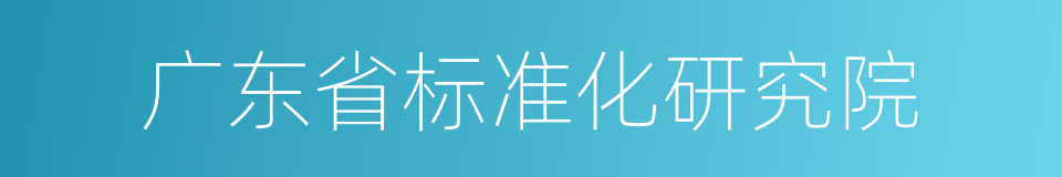 广东省标准化研究院的同义词