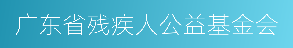 广东省残疾人公益基金会的同义词