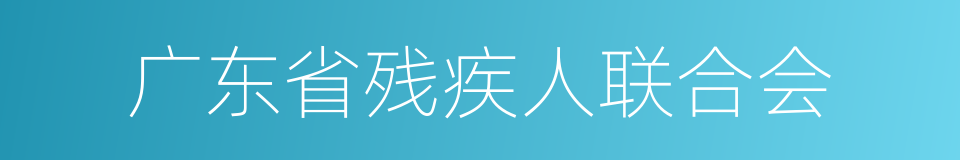 广东省残疾人联合会的同义词