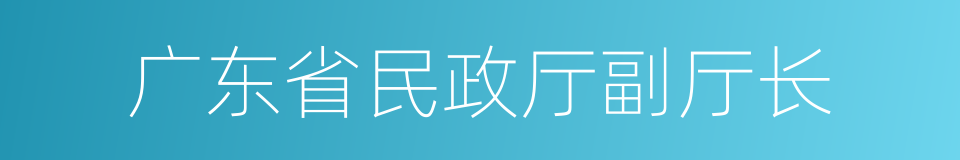 广东省民政厅副厅长的同义词