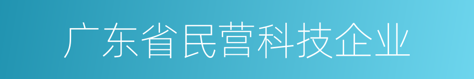 广东省民营科技企业的同义词