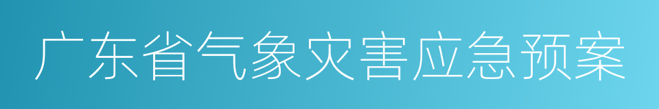 广东省气象灾害应急预案的同义词