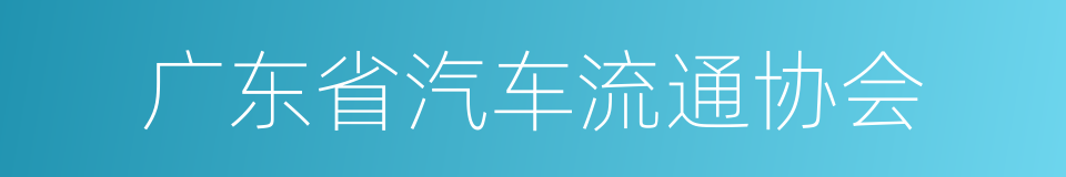 广东省汽车流通协会的同义词