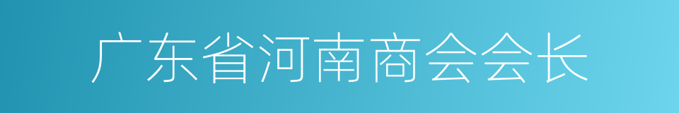 广东省河南商会会长的同义词